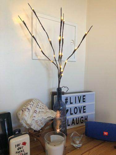 20LED Twigs Light String Decoration (75CM) / Battery-Operated / 5 Branches / Perfect for Parties, Weddings, Festivals / Indoor Decor - Dreamy-Designs Store Online