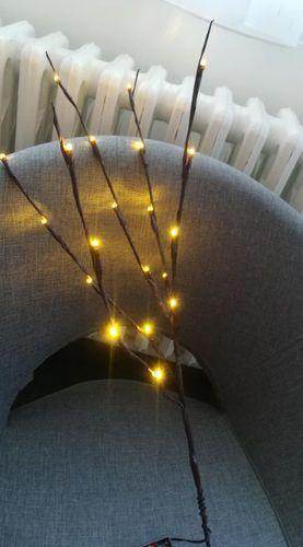 20LED Twigs Light String Decoration (75CM) / Battery-Operated / 5 Branches / Perfect for Parties, Weddings, Festivals / Indoor Decor - Dreamy-Designs Store Online