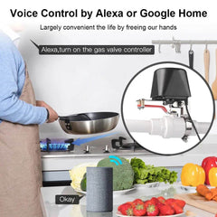 Tuya WiFi/Zigbee Water Valve Gas Shutoff Controller Support Alexa Google Assistant Smart Wireless Remote Control Smart Life App - Dreamy-Designs Store Online